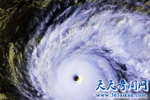台风诺拉.jpg