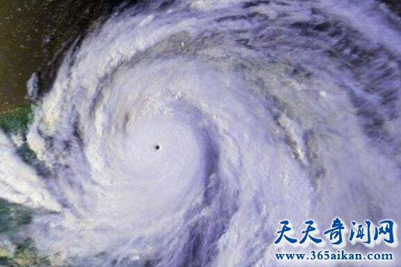 台风泰培.jpg